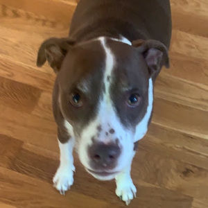 Meet your Posher, Kylie